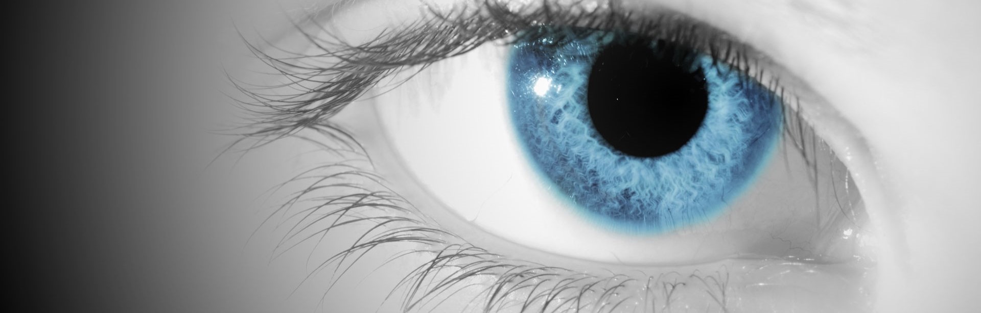 blu-eye Go Business Ltd./TEAM 007